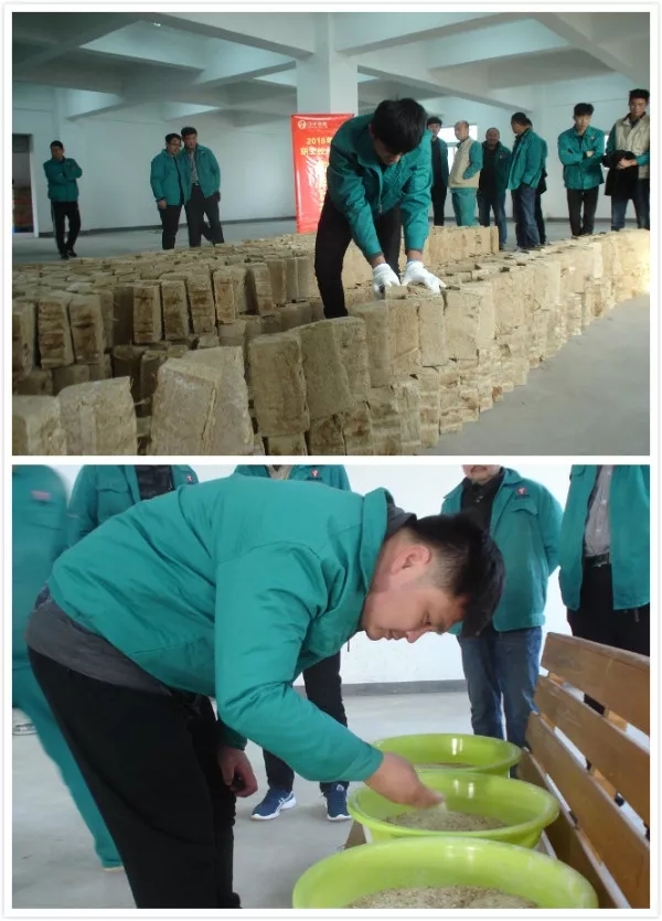 1598923419130997.jpg 18技(ji)能(néng)比武2.webp.jpg